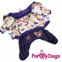 Сине-бежевая расцветка с рисунком бабочки, костюм для маленьких собак - Димон-Камон, одежда для собак
