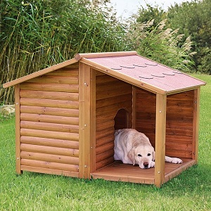 Trixie_Kennel_with_Terrace.jpg